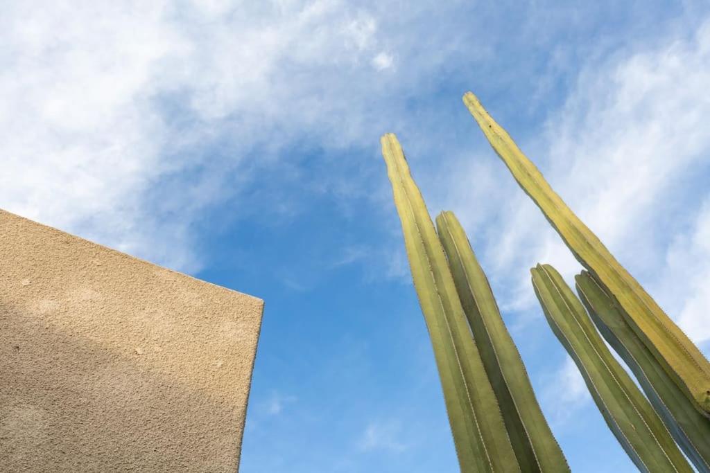 Desert Princess Villa Palm Springs Area Cathedral City Exterior foto